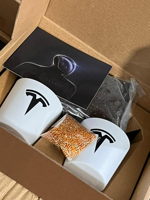 Earth Day · Tesla