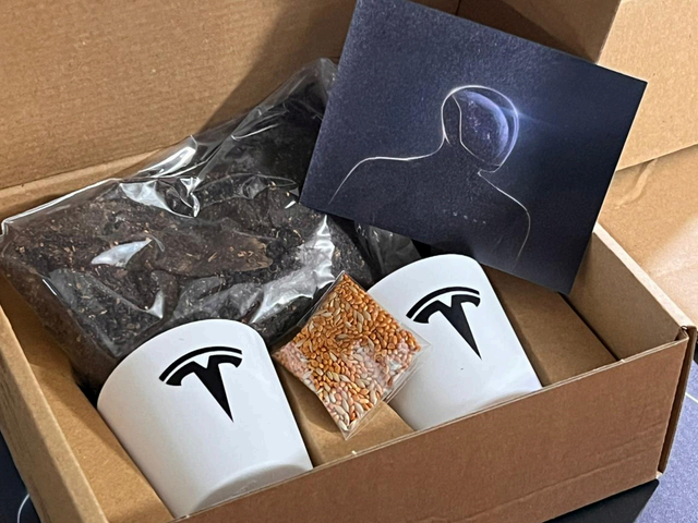 10 de Mayo · Tesla